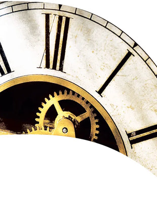 TTH289 - Smith Walbridge Band Products