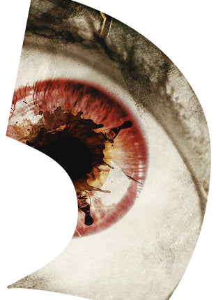 TTH290 - Smith Walbridge Band Products