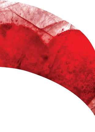 TTH291 - Smith Walbridge Band Products