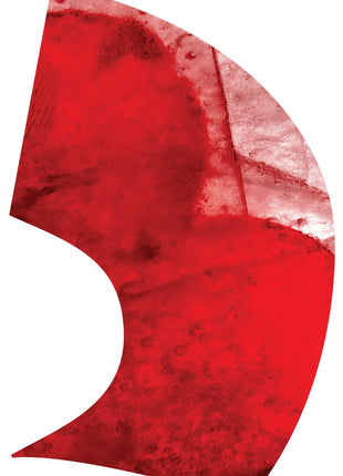 TTH291 - Smith Walbridge Band Products