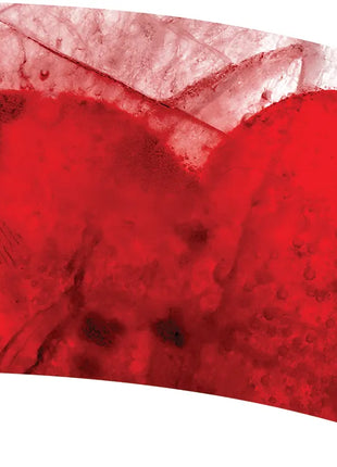 TTH291 - Smith Walbridge Band Products