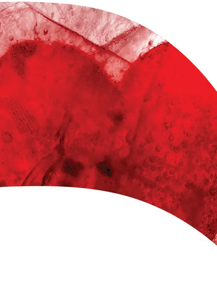 TTH291 - Smith Walbridge Band Products