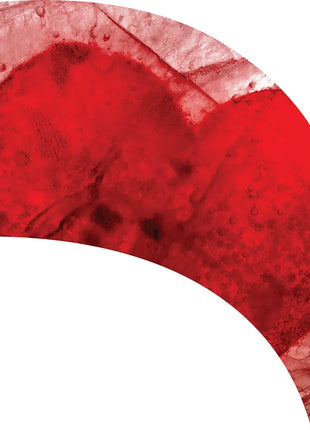 TTH291 - Smith Walbridge Band Products