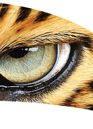 TTH294 - Smith Walbridge Band Products