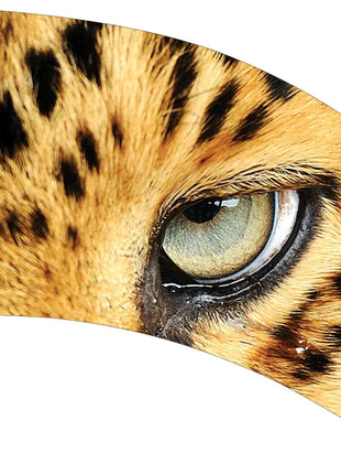 TTH294 - Smith Walbridge Band Products