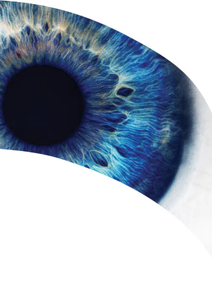 TTH296 - Smith Walbridge Band Products