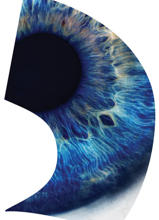 TTH296 - Smith Walbridge Band Products