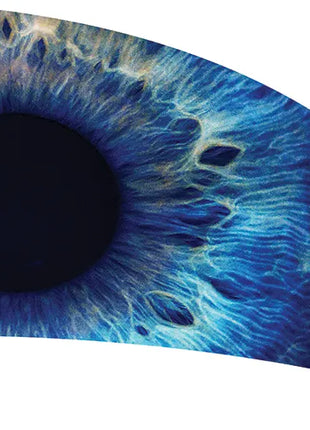 TTH296 - Smith Walbridge Band Products