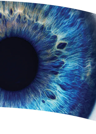 TTH296 - Smith Walbridge Band Products