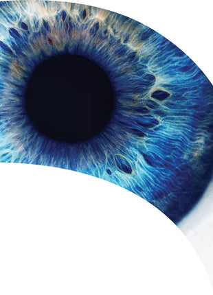 TTH296 - Smith Walbridge Band Products