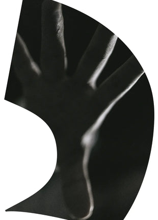 TTH297 - Smith Walbridge Band Products