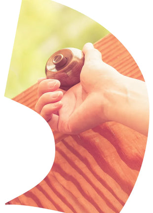 TTH298 - Smith Walbridge Band Products