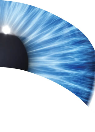 TTH303 - Smith Walbridge Band Products