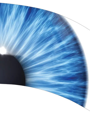 TTH303 - Smith Walbridge Band Products