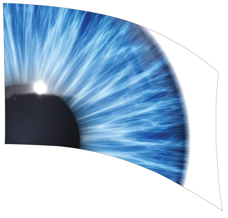 TTH303 - Smith Walbridge Band Products