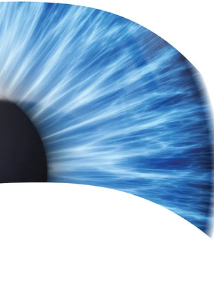 TTH303 - Smith Walbridge Band Products