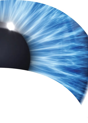 TTH303 - Smith Walbridge Band Products