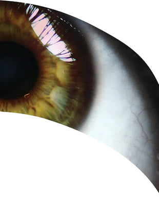 TTH304 - Smith Walbridge Band Products