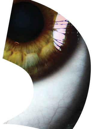 TTH304 - Smith Walbridge Band Products