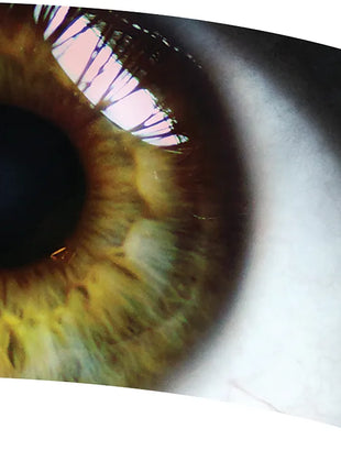 TTH304 - Smith Walbridge Band Products