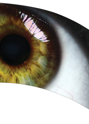 TTH304 - Smith Walbridge Band Products