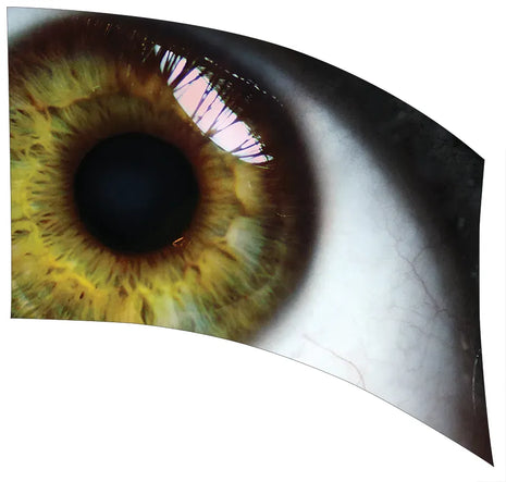 TTH304 - Smith Walbridge Band Products