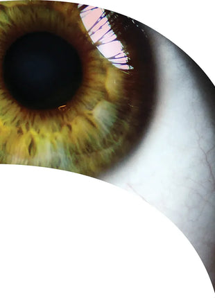 TTH304 - Smith Walbridge Band Products