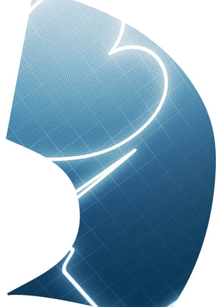 TTH307 - Smith Walbridge Band Products