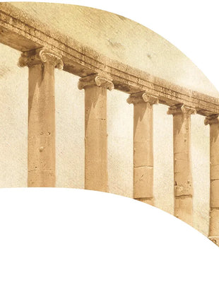 TTH310 - Smith Walbridge Band Products