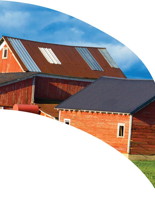 TTH311 - Smith Walbridge Band Products