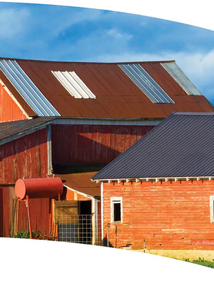 TTH311 - Smith Walbridge Band Products