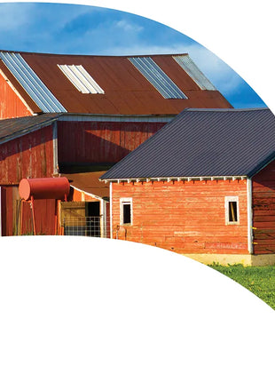 TTH311 - Smith Walbridge Band Products