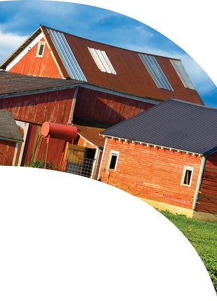 TTH311 - Smith Walbridge Band Products