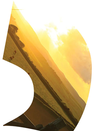 TTH312 - Smith Walbridge Band Products