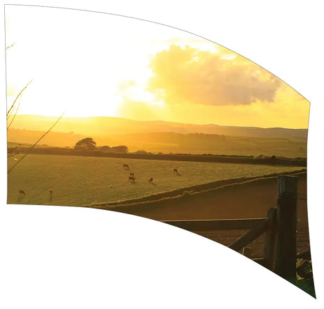 TTH312 - Smith Walbridge Band Products