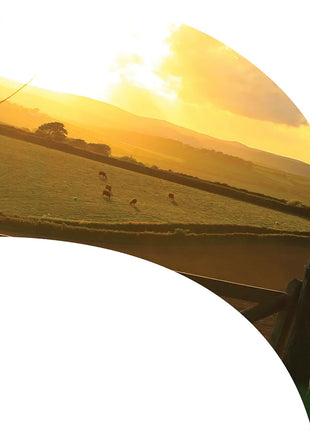 TTH312 - Smith Walbridge Band Products