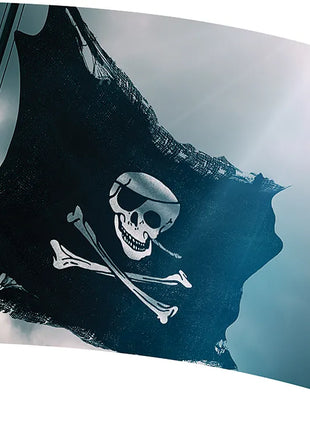 TTH313 - Smith Walbridge Band Products