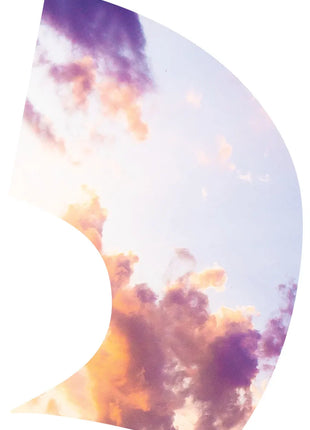 TTH316 - Smith Walbridge Band Products