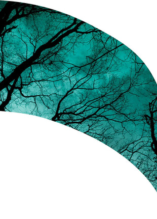 TTH317 - Smith Walbridge Band Products