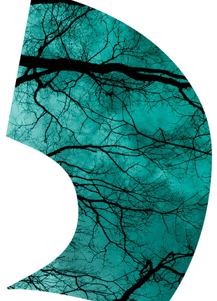 TTH317 - Smith Walbridge Band Products