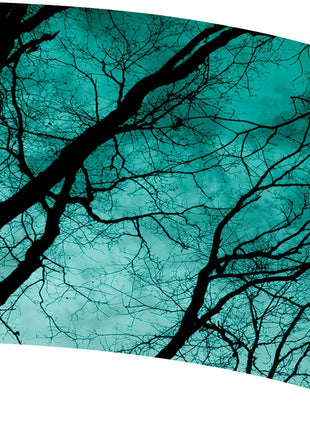 TTH317 - Smith Walbridge Band Products