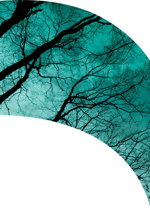 TTH317 - Smith Walbridge Band Products