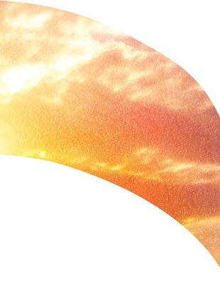 TTH318 - Smith Walbridge Band Products