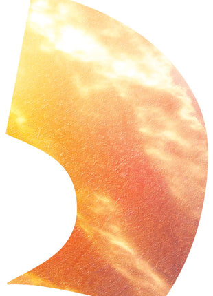 TTH318 - Smith Walbridge Band Products