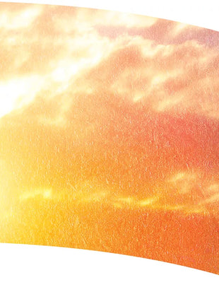 TTH318 - Smith Walbridge Band Products