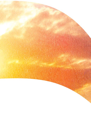 TTH318 - Smith Walbridge Band Products