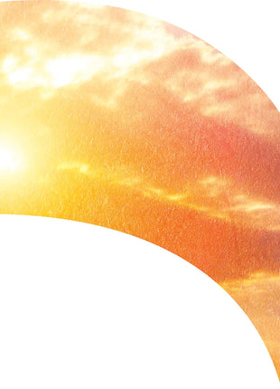 TTH318 - Smith Walbridge Band Products