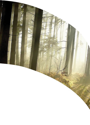 TTH320 - Smith Walbridge Band Products