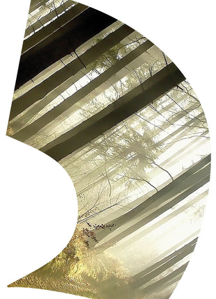 TTH320 - Smith Walbridge Band Products