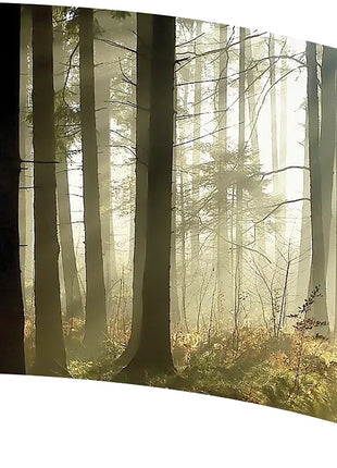 TTH320 - Smith Walbridge Band Products